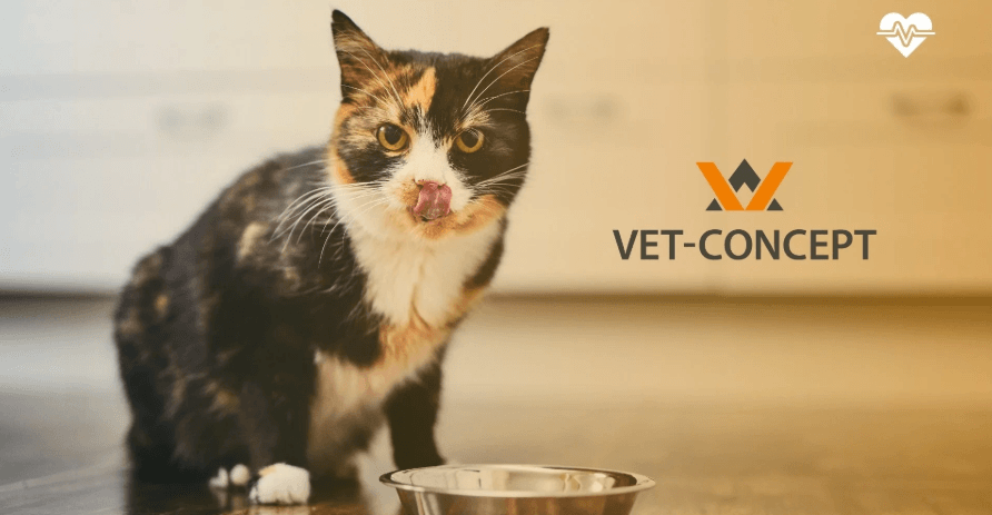 vet concept